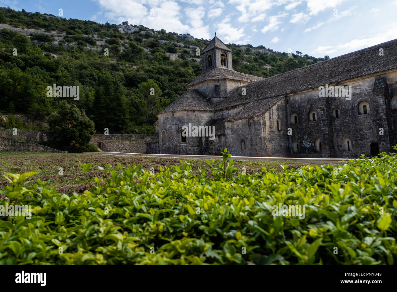 Alten Kloster Senanque in der Provence Stockfoto