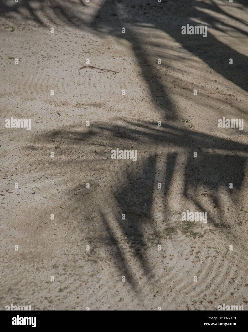 Palmwedel erstellen phantasievolle dunkle Schatten an einem weißen Sandstrand in der Karibik Stockfoto