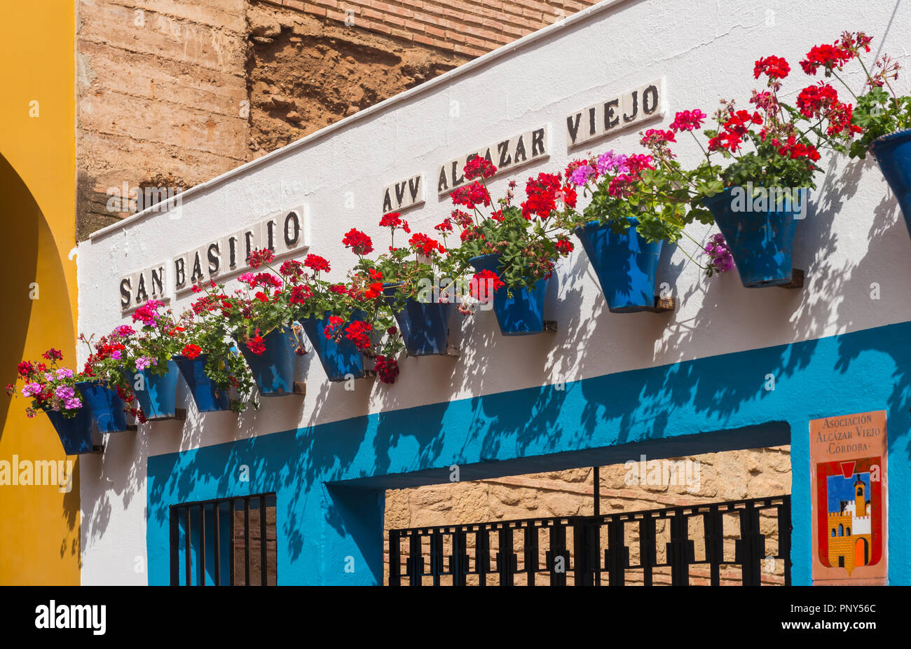 Roten Geranien blau Blumentöpfe auf einer Hauswand, Fiesta de los Patios, Córdoba, Andalusien, Spanien Stockfoto