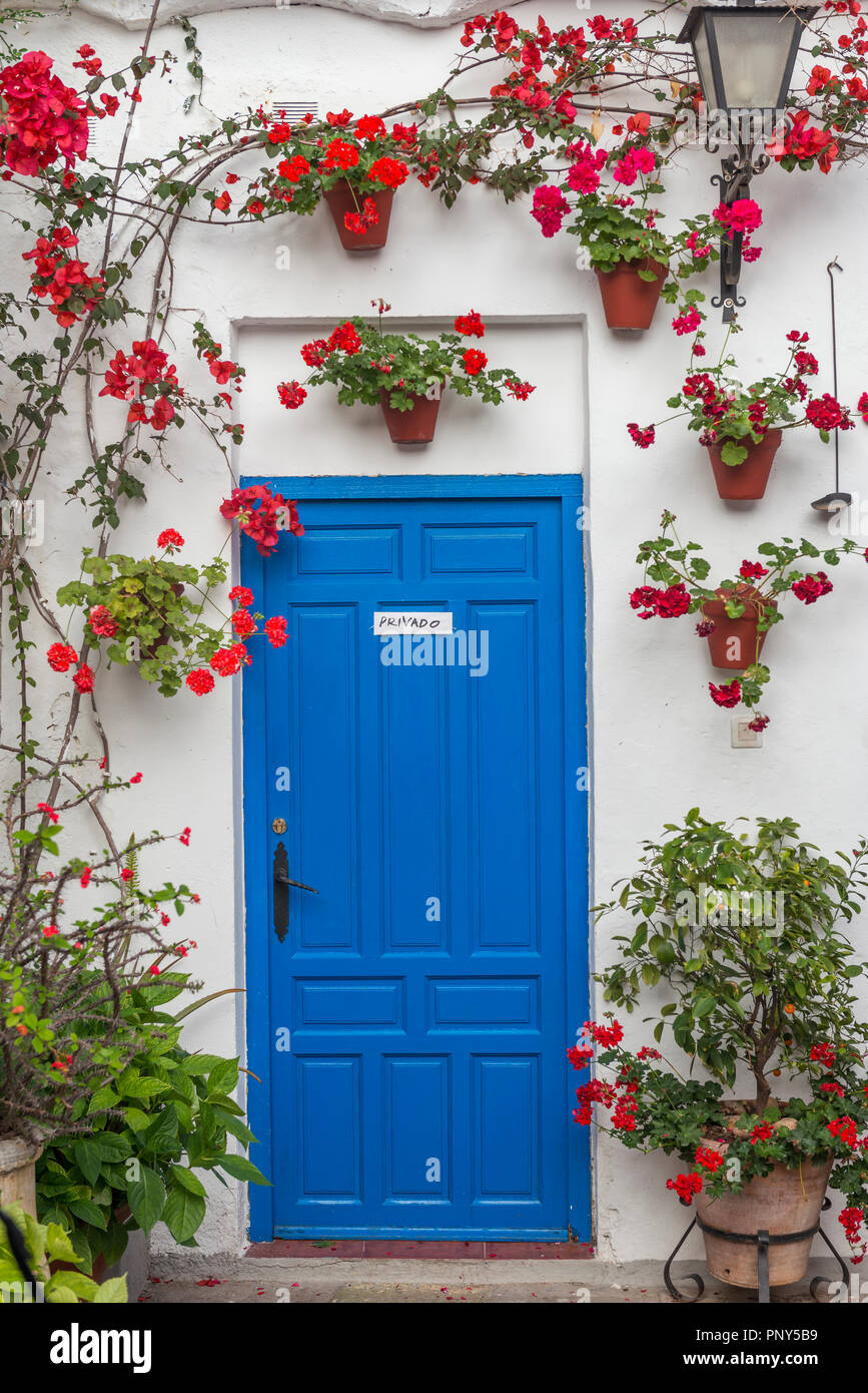 Blaue Tür mit roten Geranien in Blumentöpfen auf eine Hauswand, Fiesta de los Patios, Córdoba, Andalusien, Spanien Stockfoto