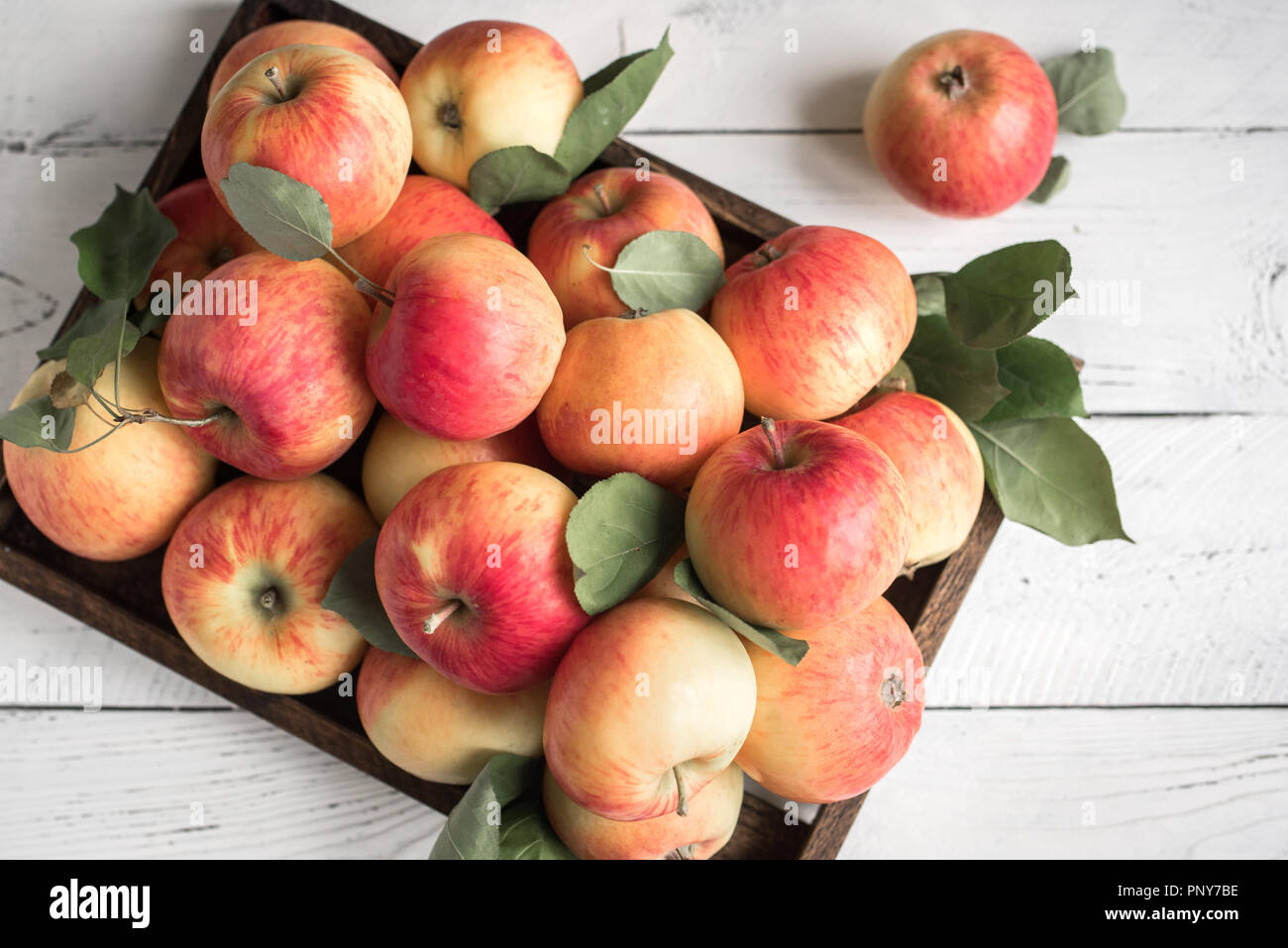 Rote Äpfel in Holzkiste. Bio rote Äpfel mit Blättern auf weißem Hintergrund Holz, kopieren. Stockfoto