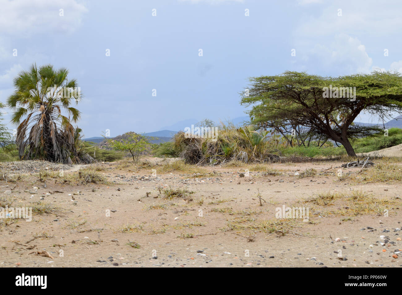 Die trockenen Landschaften von Samburu National Park, Kenia Stockfoto