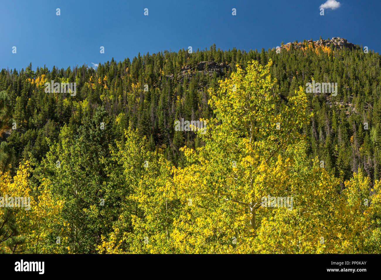 Blick auf Lumpy Ridge von der Kuh Creek Trail im Rocky Mountain National Park, Estes Park, Colorado. Stockfoto