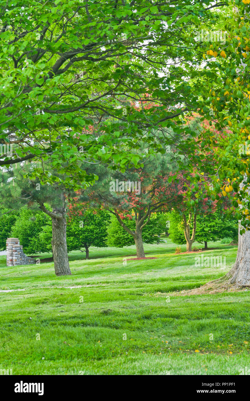 Laub mit der roten Blüten der Roßkastanie und ein steinernes Tor im Hintergrund an der St. Louis Forest Park an einem Frühlingsabend im Mai. Stockfoto