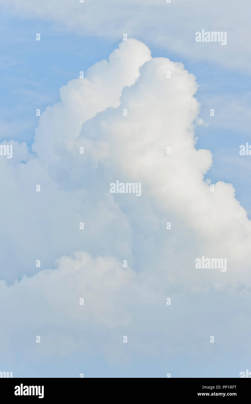 Geschwollene und rollenden Wolken in der Sommersonne am späten Nachmittag. Stockfoto