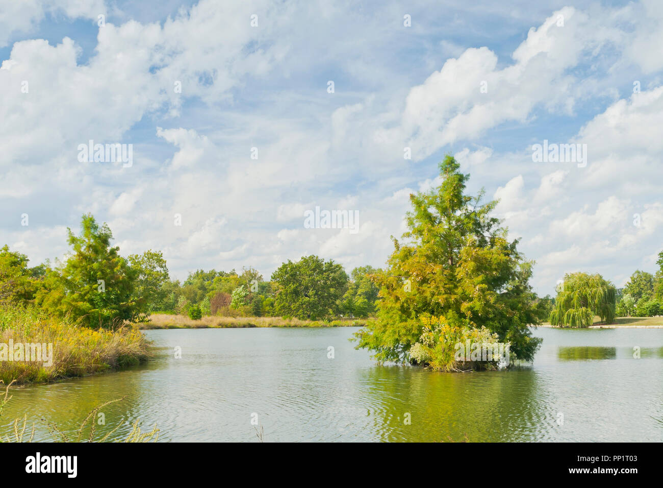 Blauer Himmel mit Wolken über einen kahlen Cypress Tree auf einer kleinen Insel im Pfosten - Abfertigung See mit einer Trauerweide in der Ferne in St. Louis Forest Park. Stockfoto