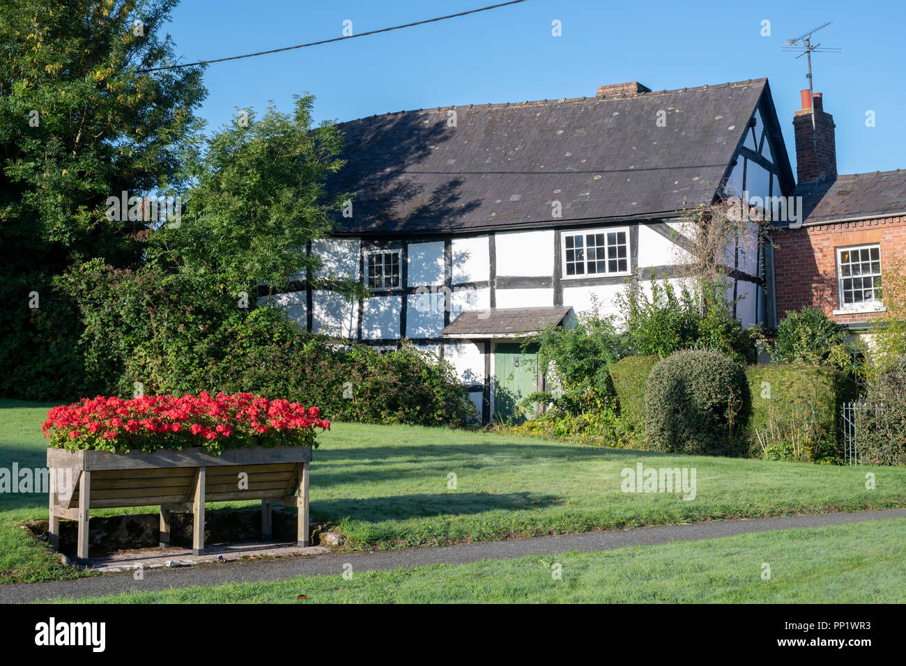 Schwarze und Weiße Englisch Holz gerahmt Gebäude. Pembridge. Herefordshire. England Stockfoto