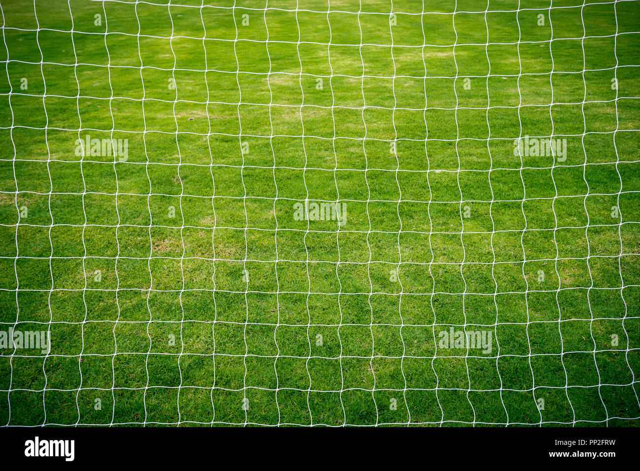 Fußball net auf grünem Gras Fußballplatz Hintergrund Stockfoto