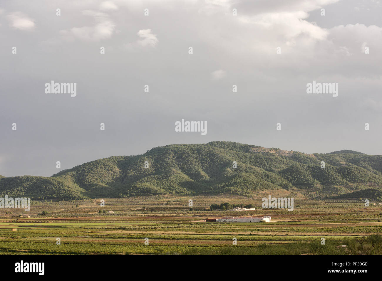 Dark sky und dramatische Sonnenlicht auf Hügeln Stockfoto