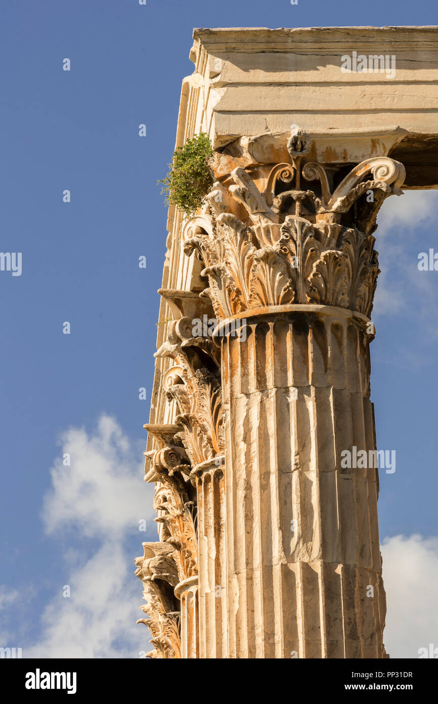 Spalten der korinthischen Ordnung, aus dem Tempel des Olympischen Zeu Stockfoto