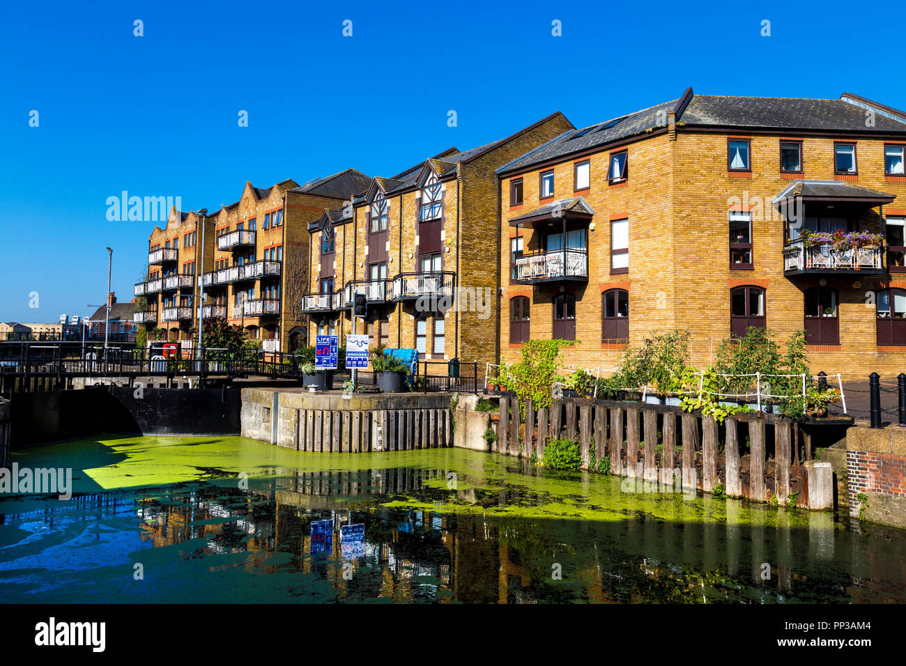 Residential yellow brick Gebäude durch den Limehouse Basin, London, UK Stockfoto