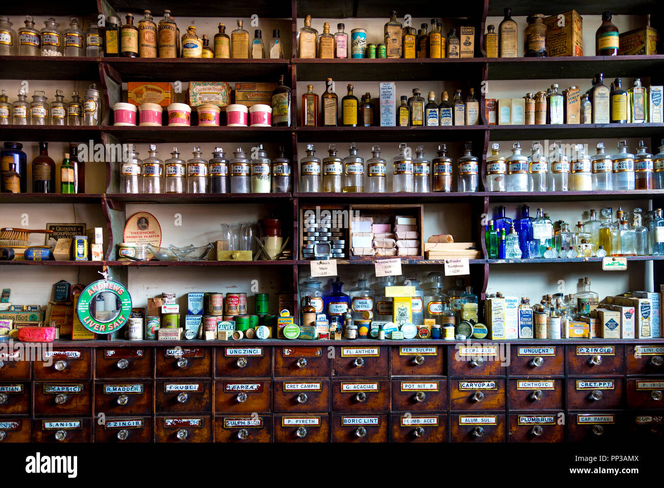 Regale mit Medikamenten bei einer altmodischen viktorianischen Apotheke, Black Country Living Museum, Dudley, England Stockfoto