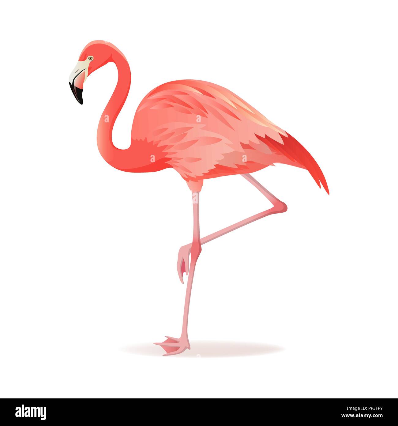 Rot und rosa Flamingo Vector Illustration. Exotischen Vogel stehen, dekorative Elemente Sammlung. Flamingo isoliert auf weißem Hintergrund Stock Vektor