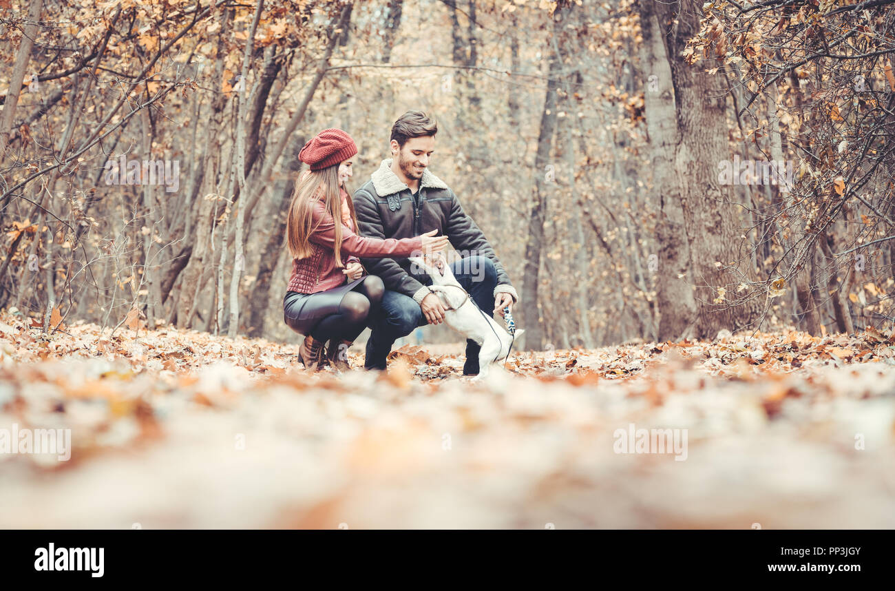 Frau und Mann den Hund streicheln gehen Sie in eine farbenfrohe fallen Stockfoto