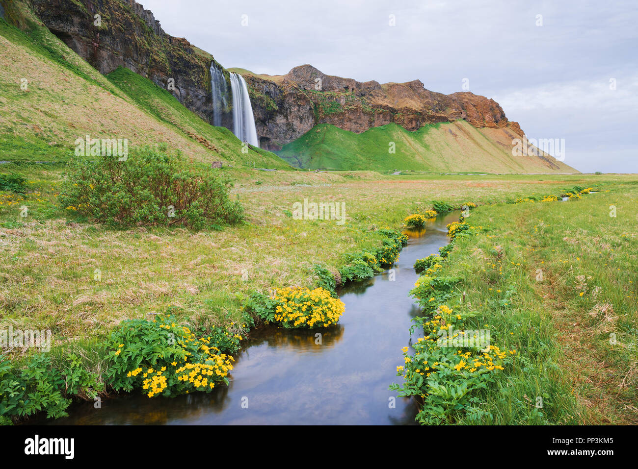 Der Wasserfall Seljalandsfoss. Sommer Landschaft mit Fluss. Touristische Attraktion von Island Stockfoto