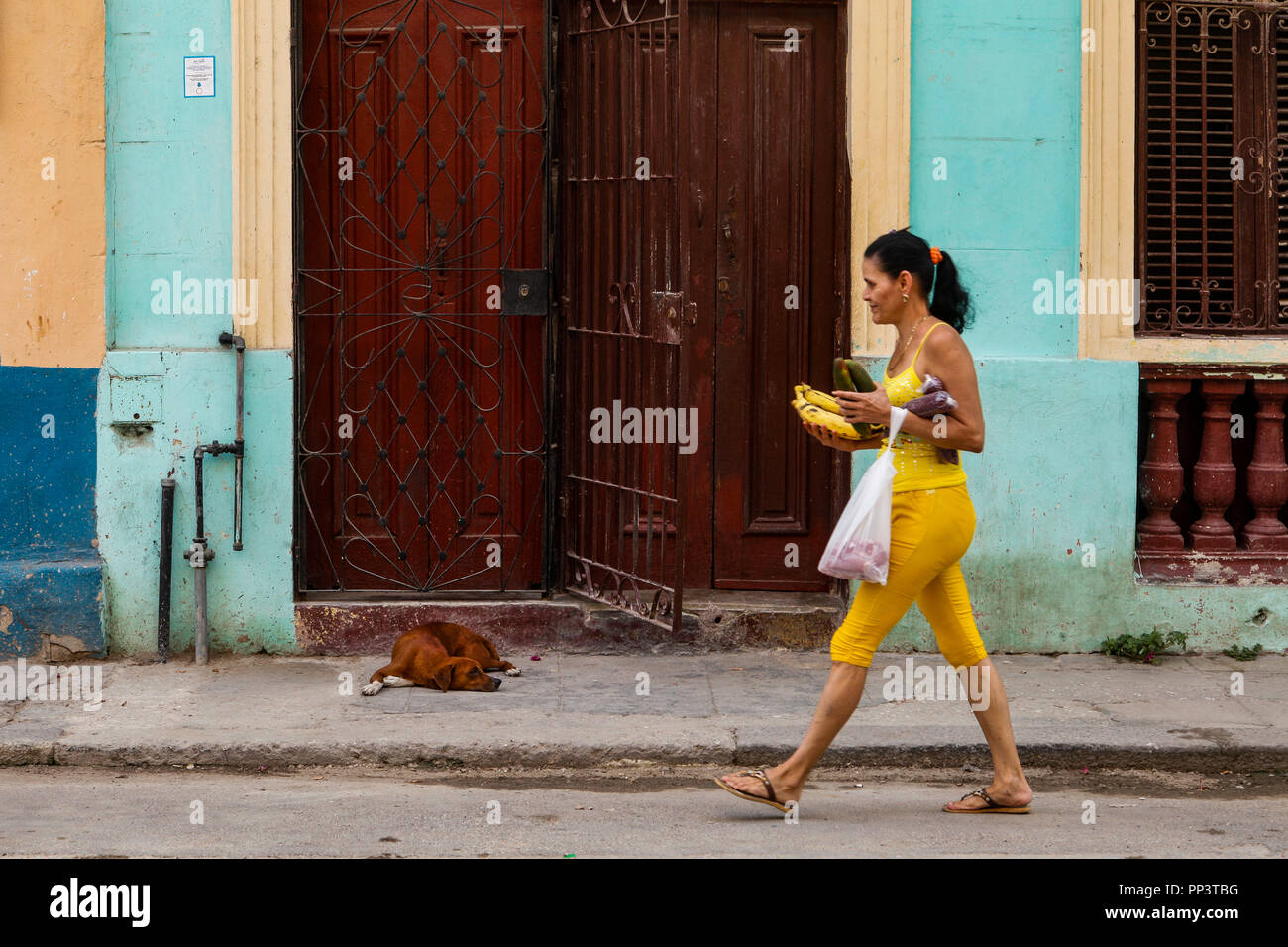 Straßen von Havanna, Kuba Stockfoto