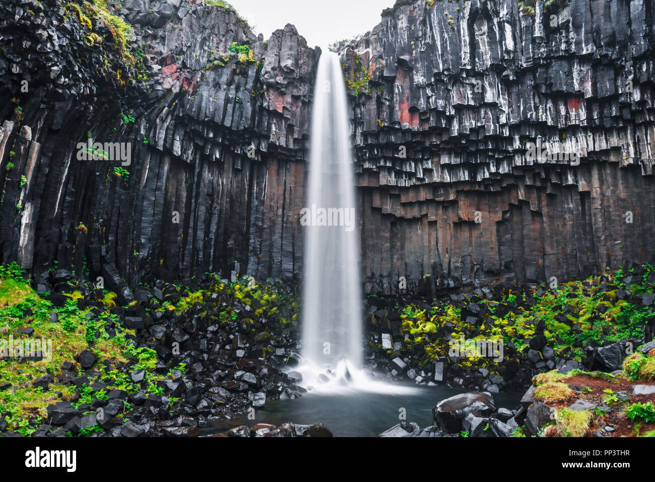 Berühmte Svartifoss Wasserfall. Eine andere benannte Schwarz fallen. In Skaftafell, Vatnajökull National Park, Island entfernt Stockfoto