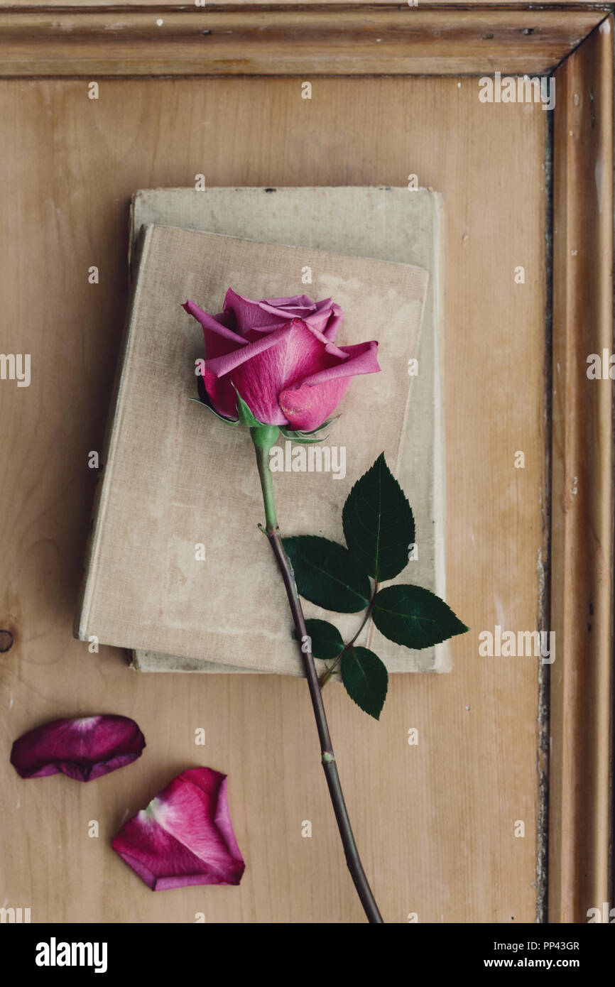Rosa verblasst Rose und vintage Bücher auf einer hölzernen Hintergrund Stockfoto