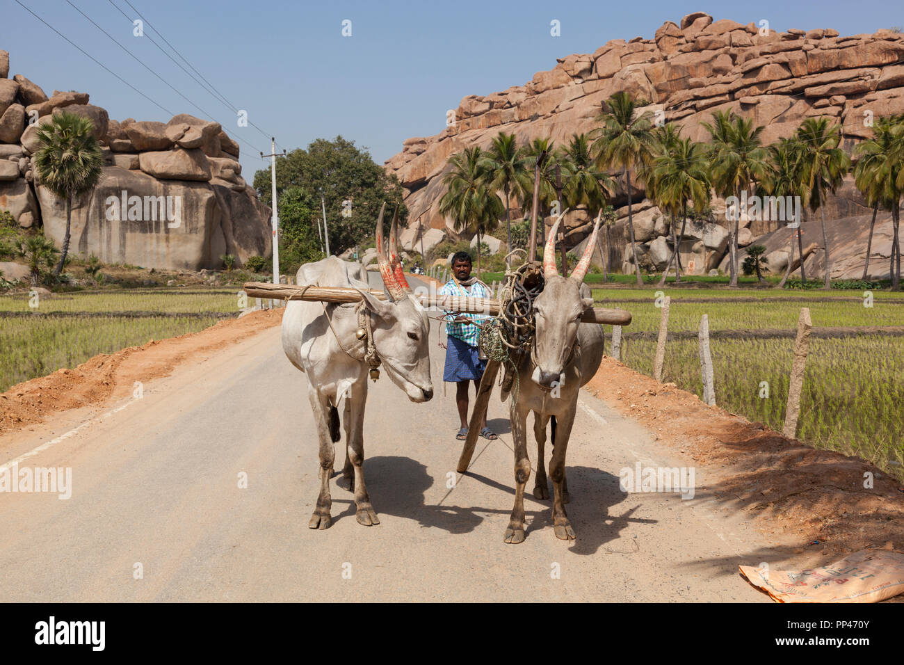 Hampi, Karnataka, Indien Stockfoto