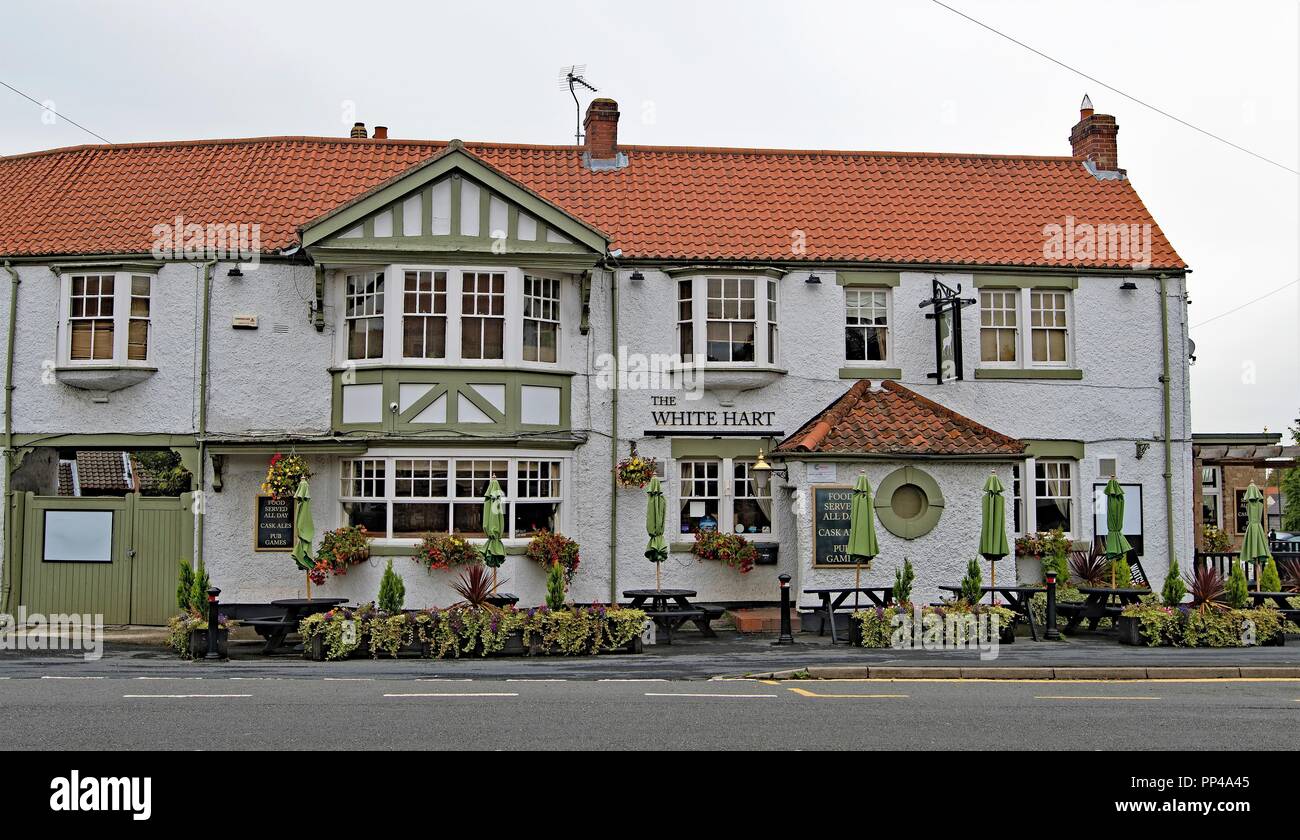 Das White Hart, in Wadsworth, Doncaster, South Yorkshire Stockfoto