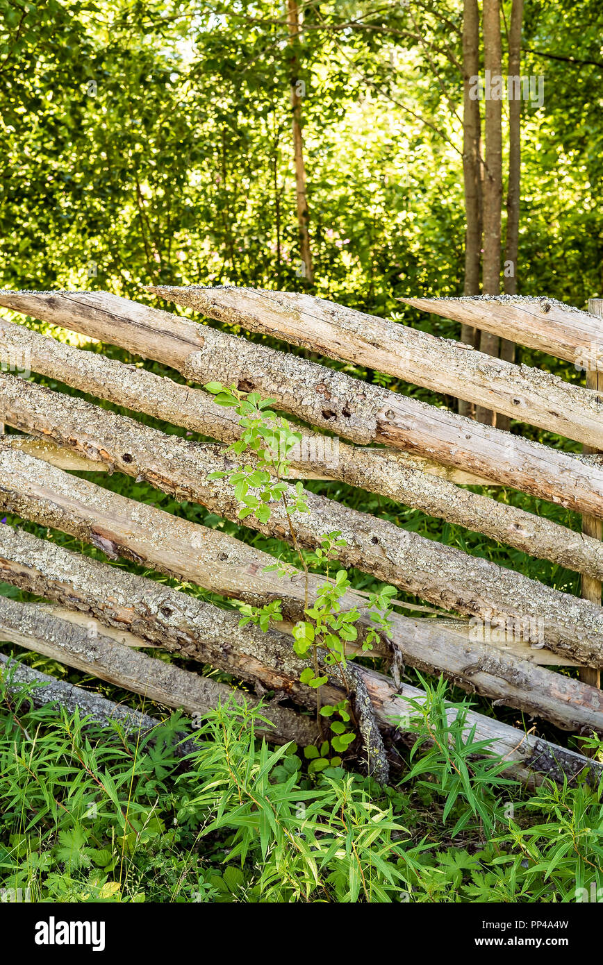Charmante, traditionelle und ländliche Holzarbeiten mit im Alter von Schnittholz in der Natur Stockfoto