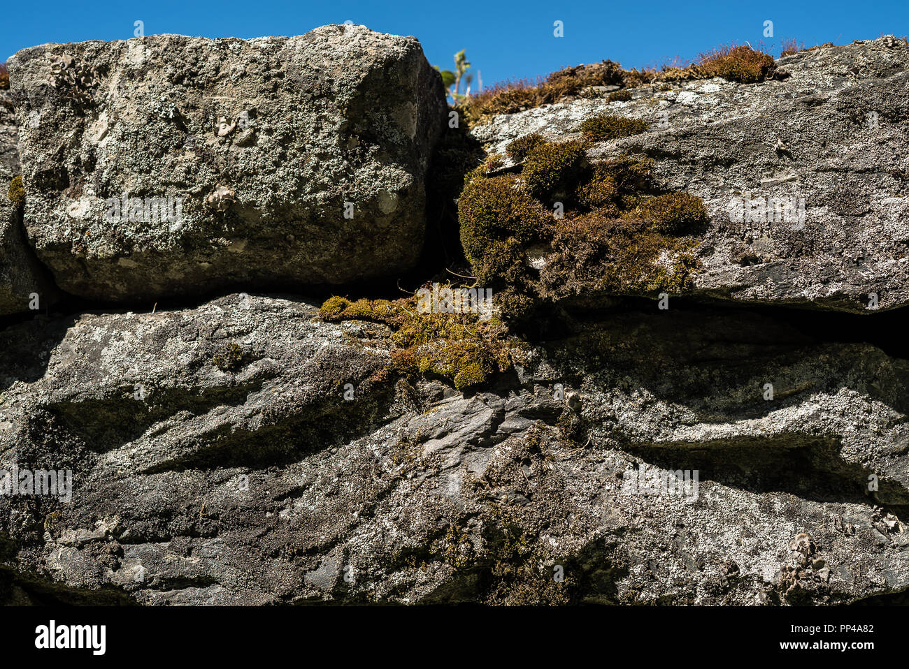 Closeup Detail eines alten rauhen, ländliche Stone Fence mit Moos und natürlichen verwitterte Oberfläche. Stockfoto