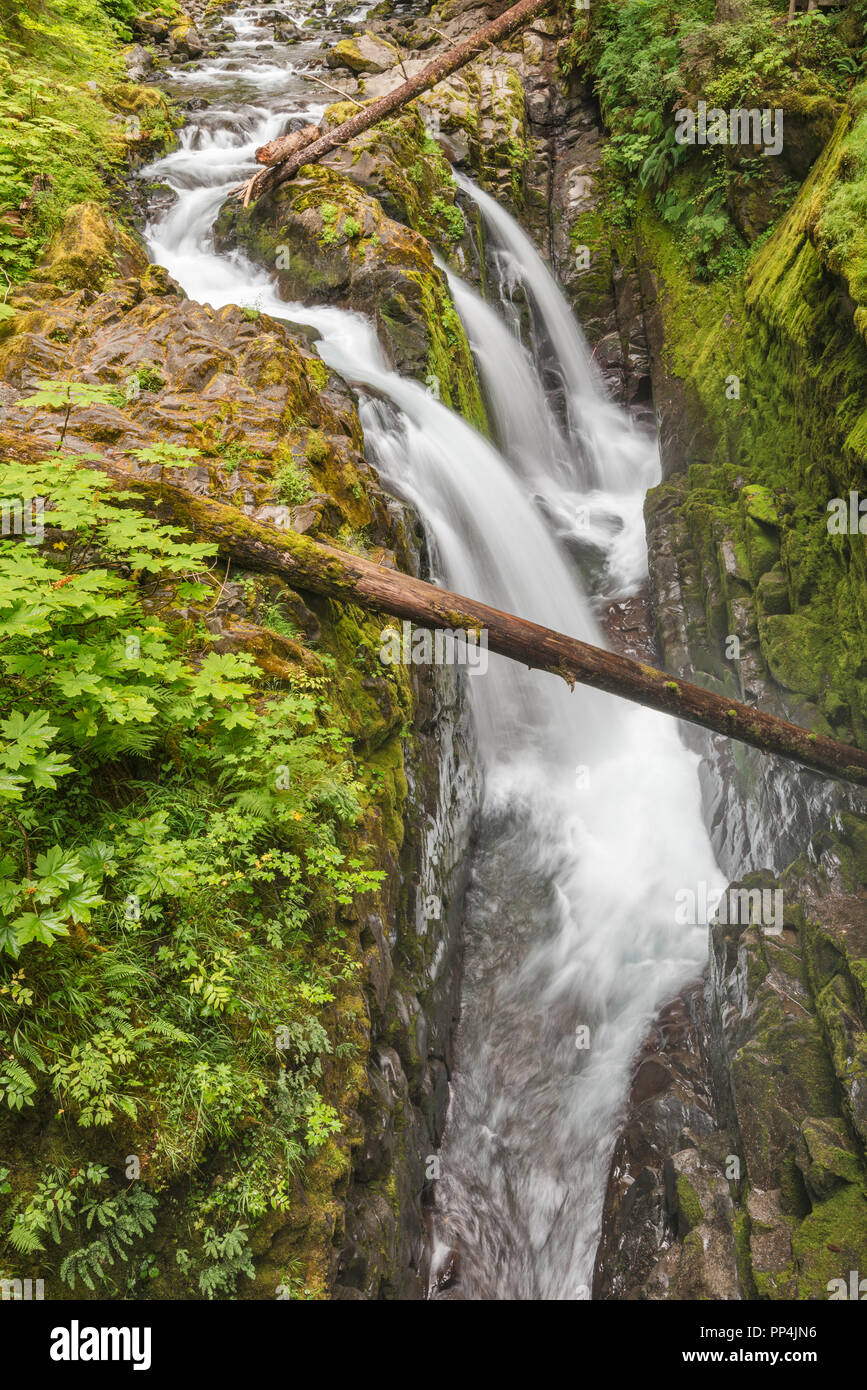 Sol Duc fällt, Olympic National Park, Washington State, USA Stockfoto