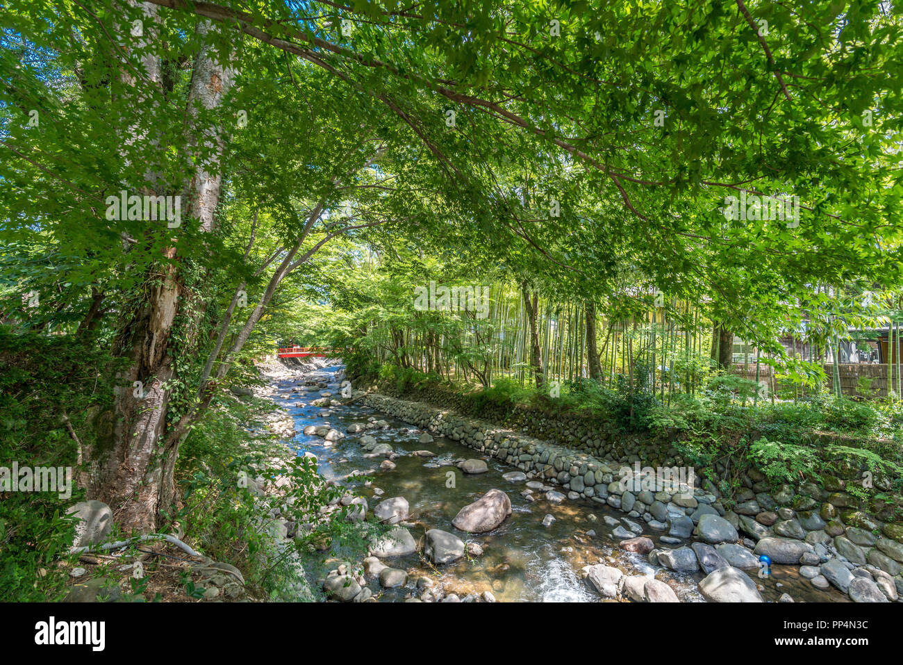 Izu, Shizuoka, Japan - 10. August 2018: Katsura Brücke über Fluss Kitamata Bambus Wald Weg als "schmalen Pfad" bekannt, Shuzenji Korridor von beautifu Stockfoto