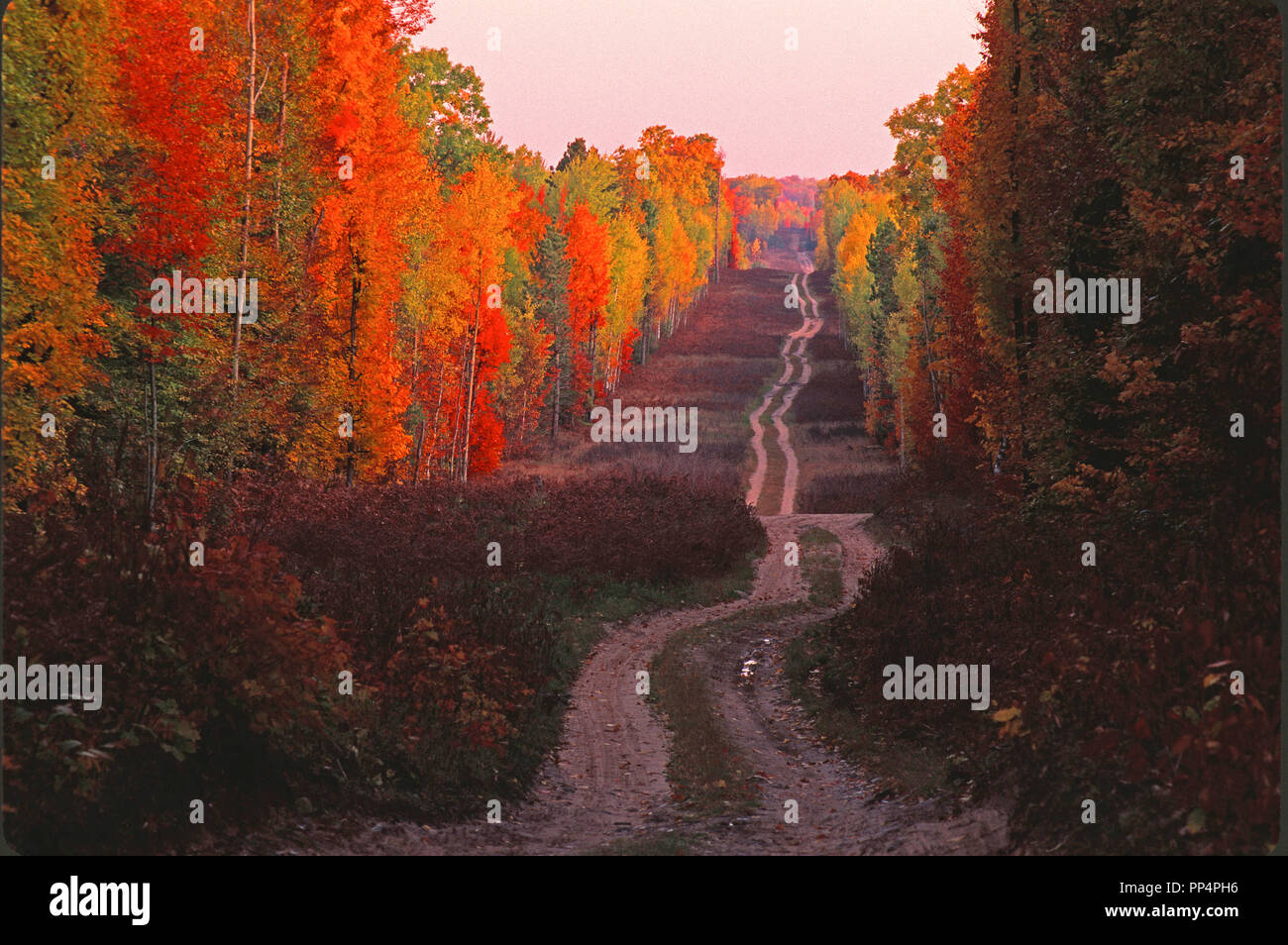 Dirt Road im Norden von Michigan Wald im Herbst. Stockfoto
