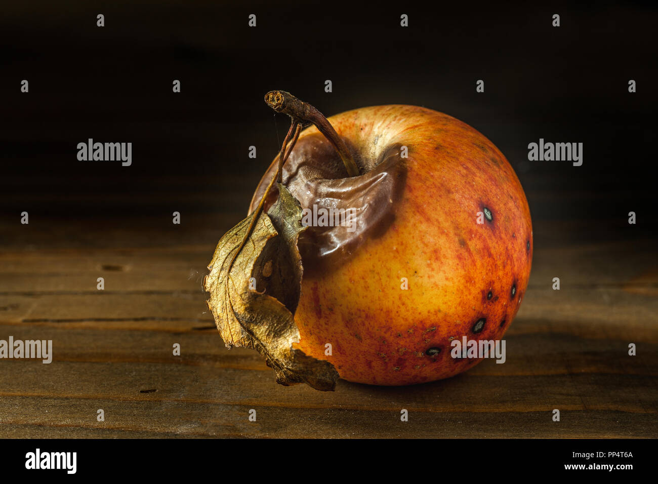 Echte und organische faule Äpfel auf einem Holztisch Stockfoto