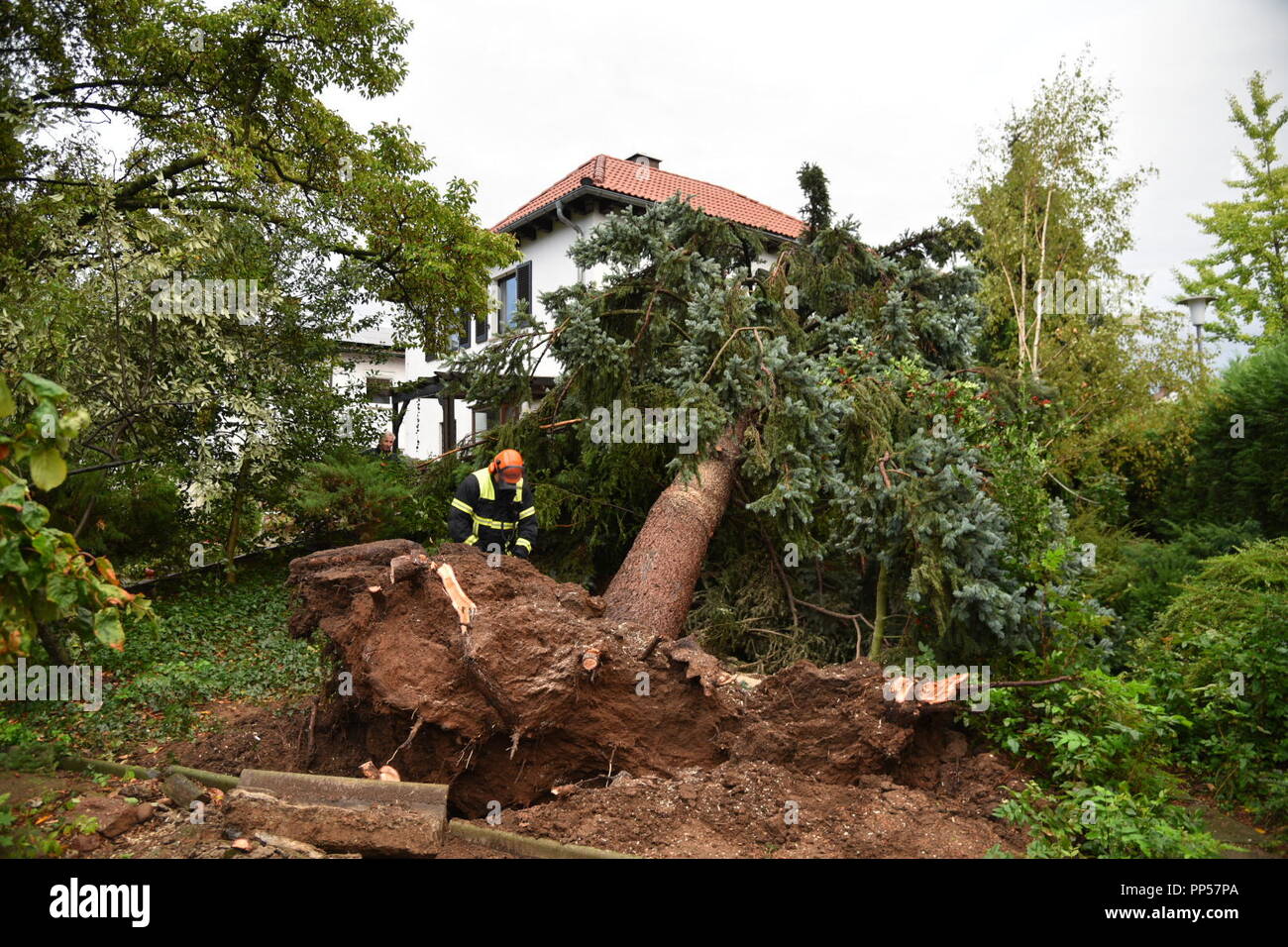 Eppelheim, Deutschland. 23. September 2018. Ein Feuerwehrmann aus Sägen ein Baum auf ein Haus im Sturm gesunken. Foto: R.Priebe/Pr-Video/dpa Quelle: dpa Picture alliance/Alamy leben Nachrichten Stockfoto