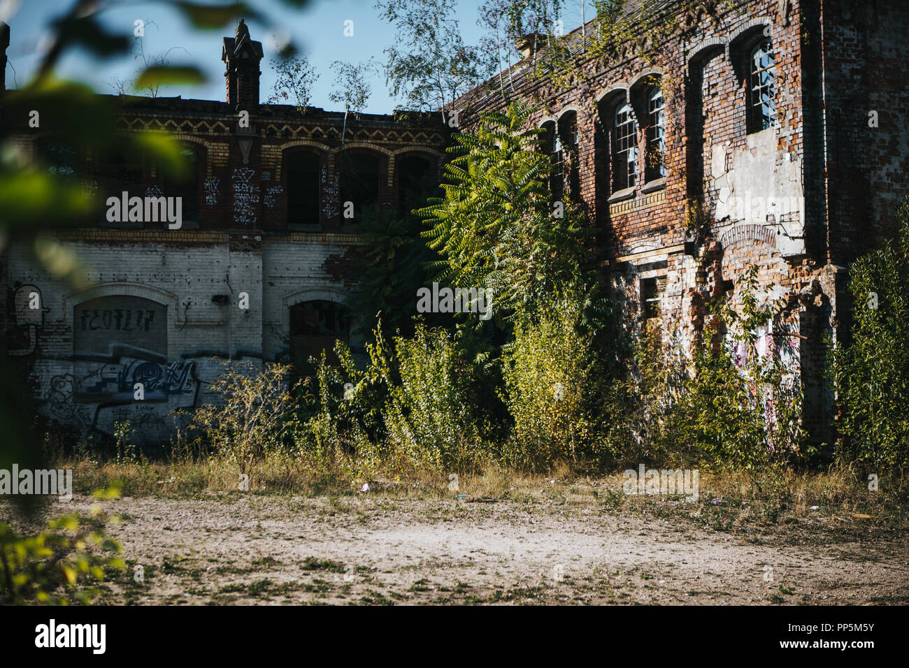 Verlassene Fabrikgebäude von der Natur zurückerobert Stockfoto