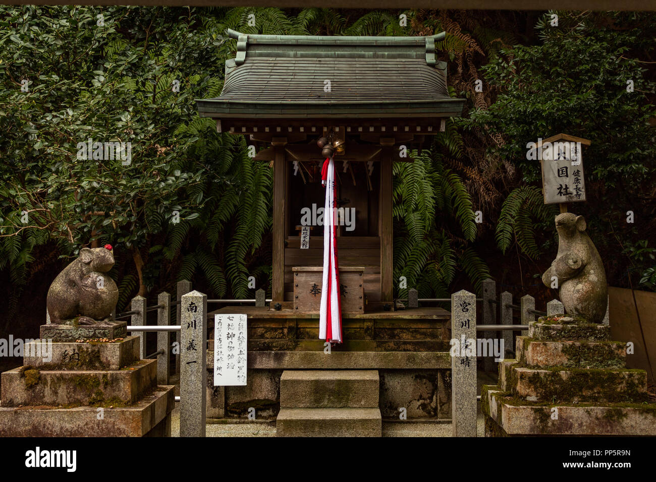 KYOTO, Japan - 08 Feb 2018: Zwei Mäuse Statuen und Heiligtum auf Otoyo Jinja Schrein von Kyoto Stockfoto