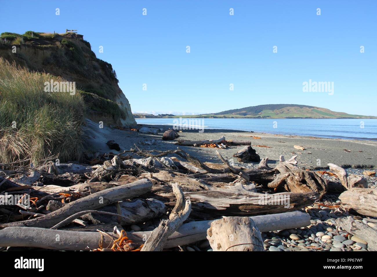 Edelstein Beach in der Nähe von Orepuki, Southland, Neuseeland. Küste mit Treibholz. Stockfoto