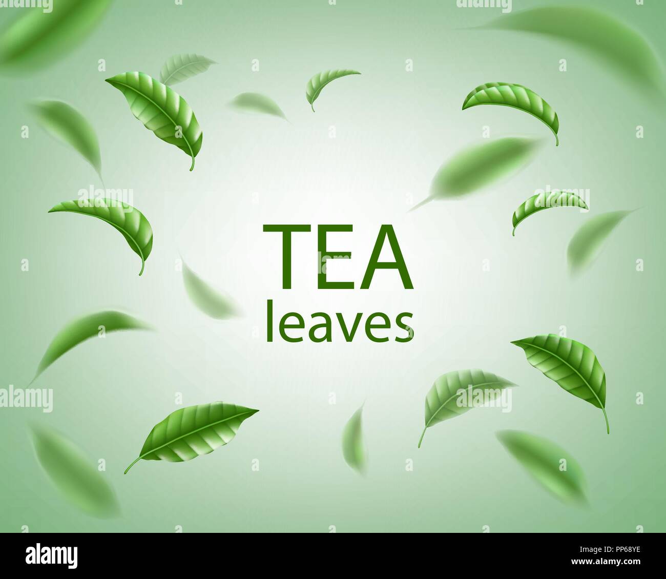 Grüner Tee Hintergrund. Realistische Tee Blätter Wirbeln in der Luft. Florale Elemente für Design, Werbung, Verpackung. Vector Illustration. Stock Vektor