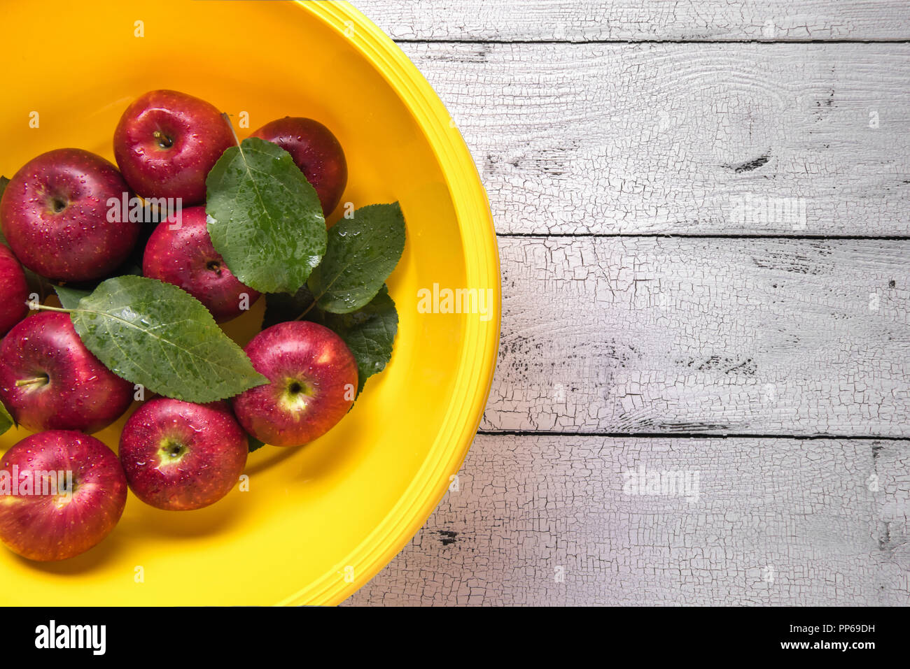 Nass reife rote Äpfel mit grünen Blättern in hellen runden gelben Kunststoff Waschbecken durch Wassertropfen bedeckt und auf weißen alten hölzernen Tisch gelegt. Selektive f Stockfoto