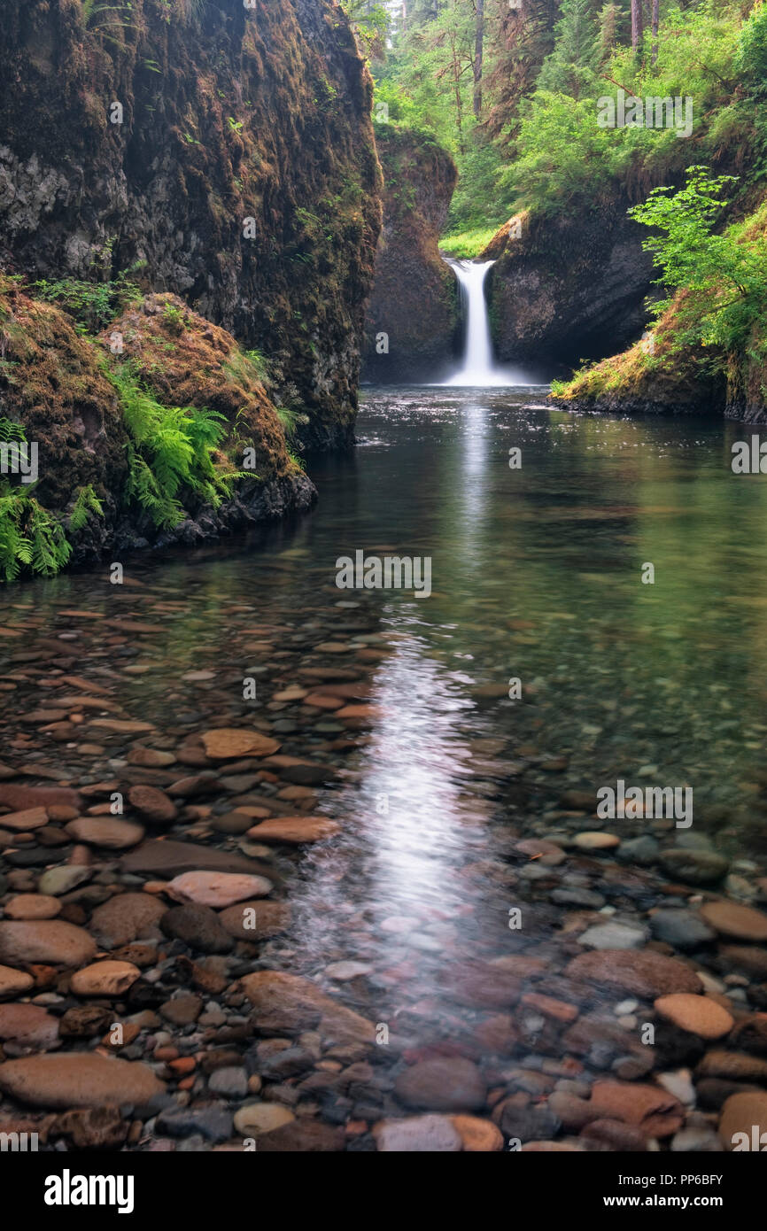 Des Oregon Eagle Creek gießt über Punchbowl fällt in der Columbia River Gorge National Scenic Area. Stockfoto