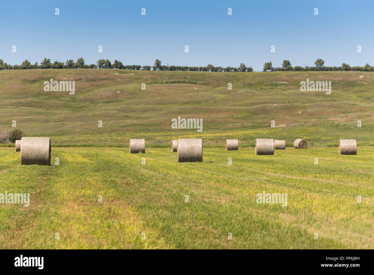 Haybales und ländliche Ackerland in der Prärie im Süden von Alberta, Kanada Stockfoto