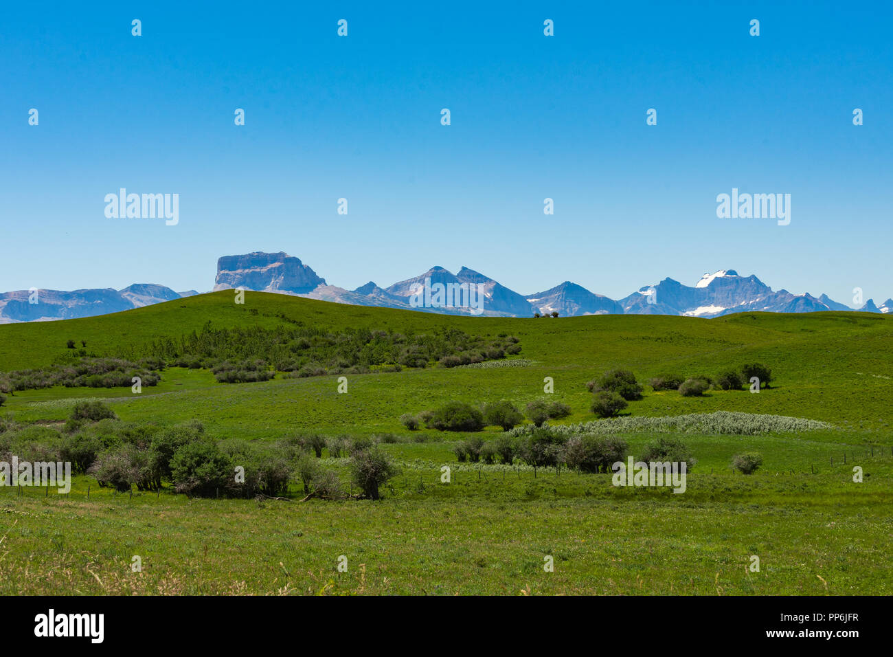 Ländliche ranchland in den Ausläufern der kanadischen Rocky Mountains Stockfoto