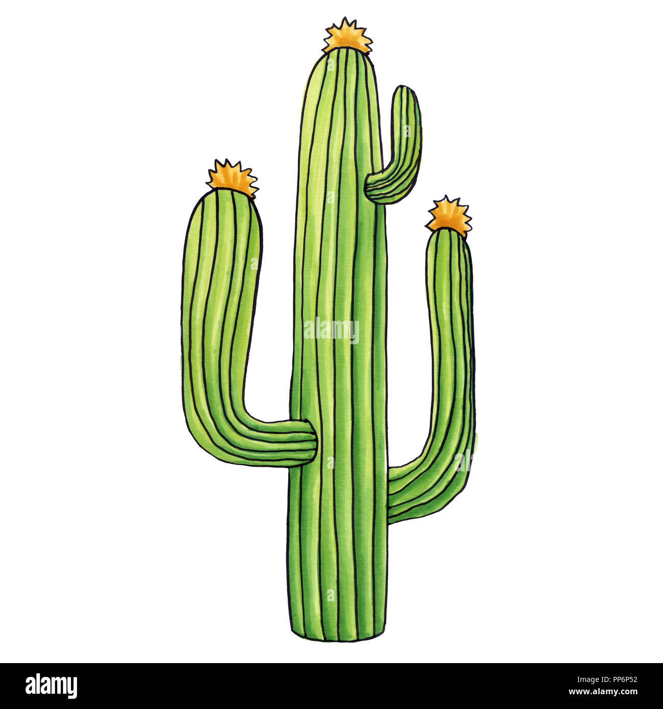 Mexikanischer Kaktus mit Stacheln oder Dornen und Blüten als isolierte Clipart für Cinco De Mayo Urlaub oder Feier. Genießbare Raster Esculent Kakteen wie Sagua Stockfoto