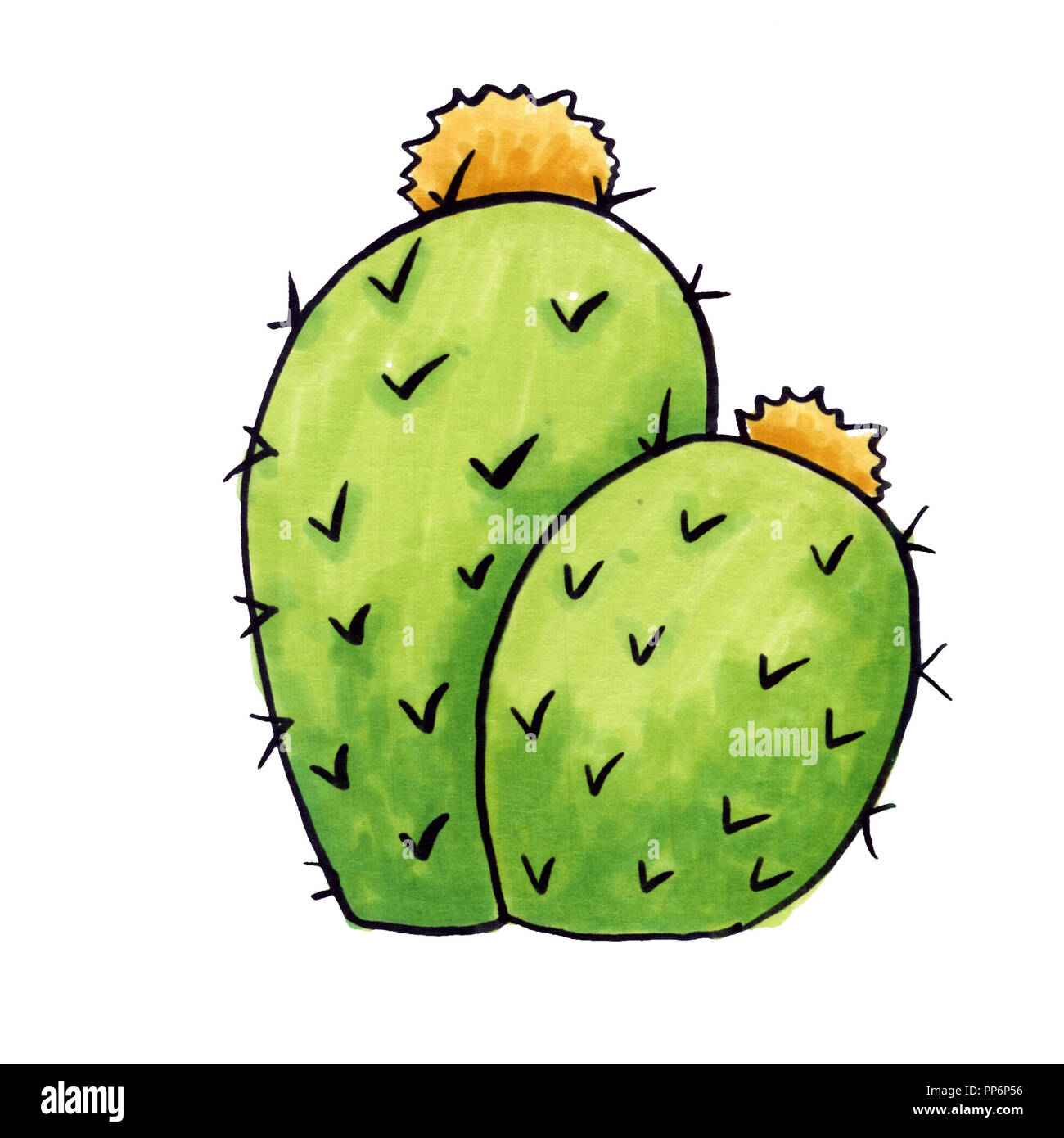 Mexikanischer Kaktus mit Stacheln oder Dornen und Blüten als isolierte Clipart für Cinco De Mayo Urlaub oder Feier. Genießbare Raster Esculent Kakteen wie Sagua Stockfoto