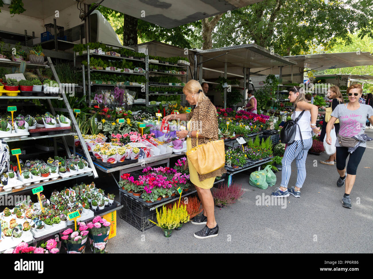 Eine Frau kaufen Blumen in Siena, Siena, Toskana Italien Europa Stockfoto