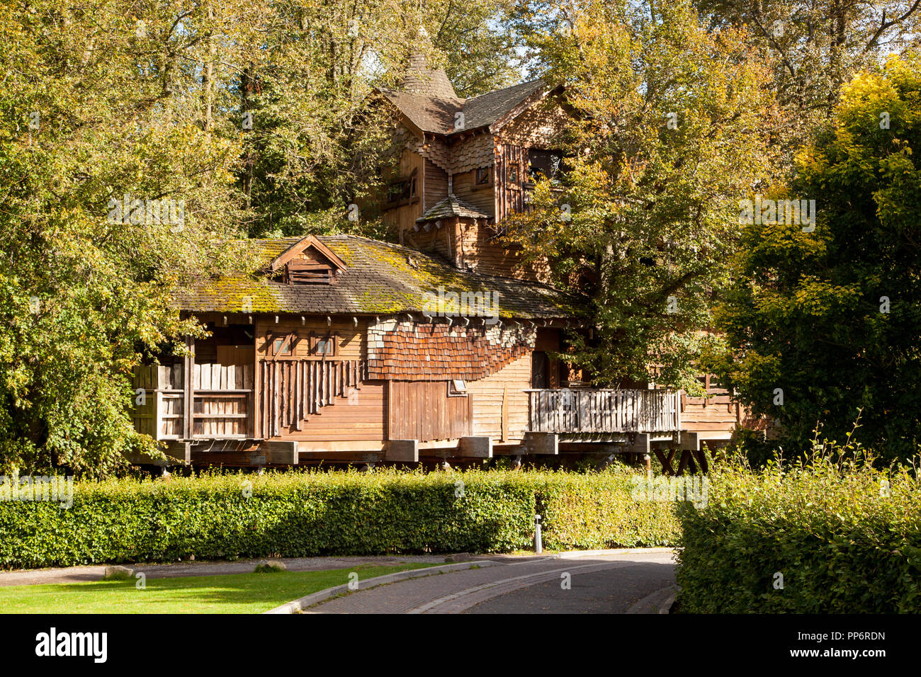 The Tree House Restaurant auf dem Gelände von Alnwick Gardens Northumberland, England Großbritannien Stockfoto