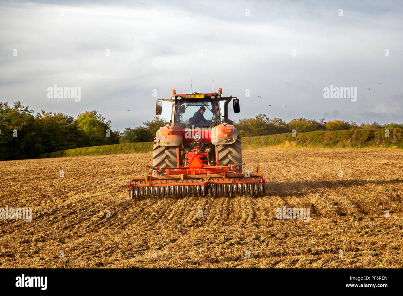 Landwirt beim Fahren eines Traktors Eggen ein frisch Bebautes Feld in der englischen Landschaft in Alnwick Northumberland, England Großbritannien Stockfoto