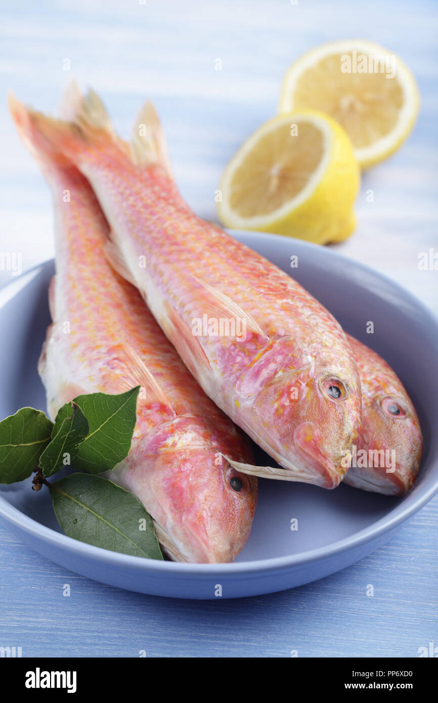 Drei rohe goatfishes auf der Platte vor dem Kochen Stockfoto