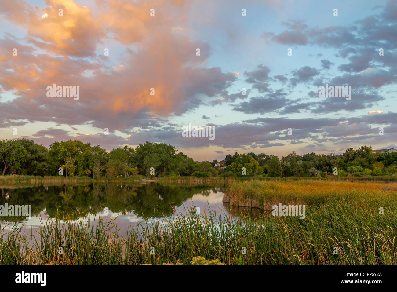 Sonnenuntergang in der Weizen Ridge Green Belt, Wheat Ridge Colorado, USA. Stockfoto