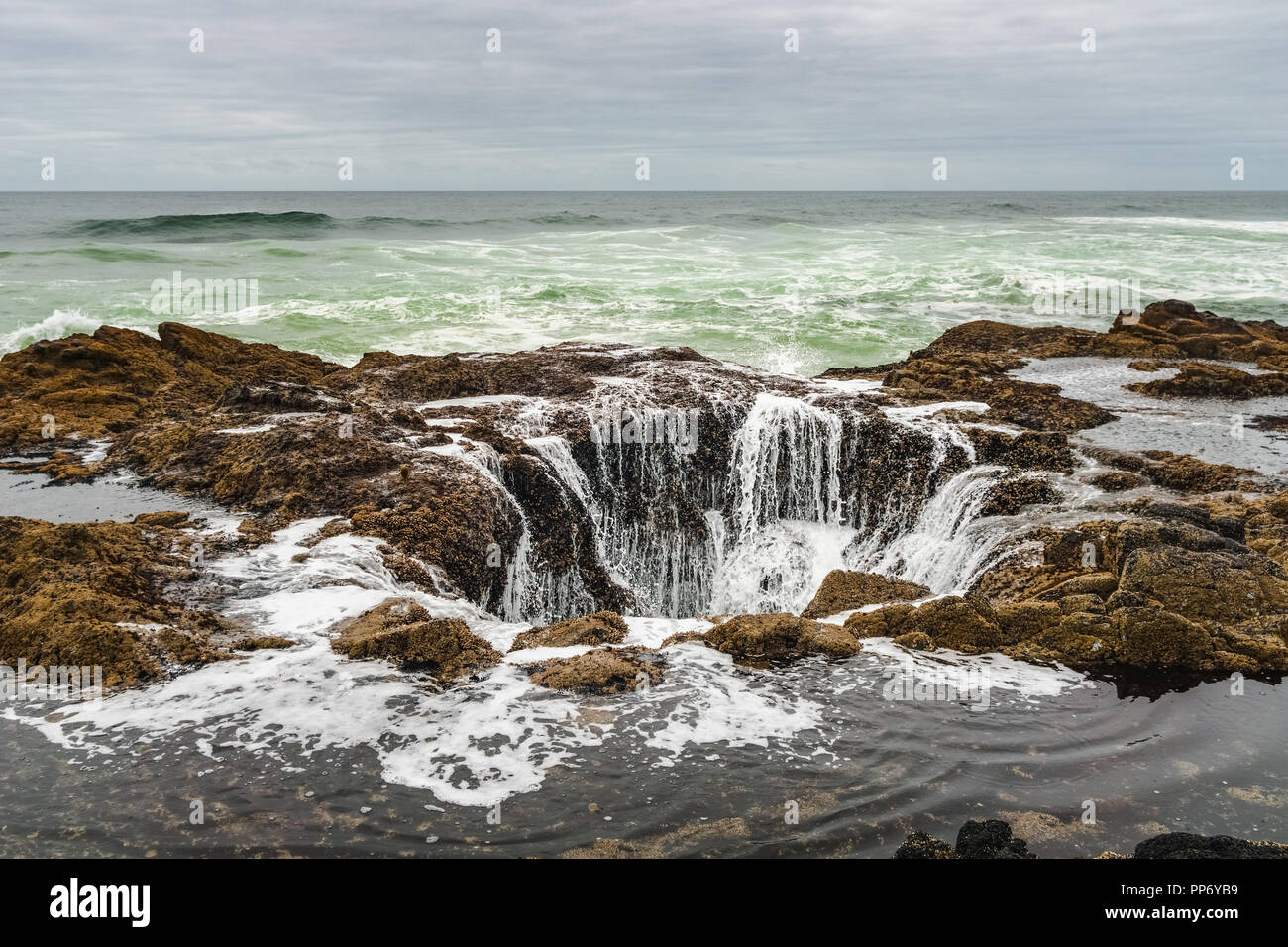 Der Thor, Cape Perpetua Scenic Area, berühmte Wahrzeichen der wilden Küste von Oregon, Yachats, USA. Stockfoto