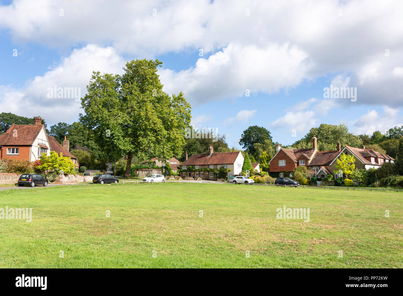 Die Grüne, Fernhurst, West Sussex, England, Vereinigtes Königreich Stockfoto