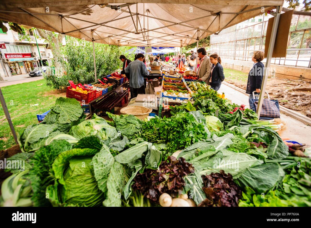 Mercado ecologico al Aire Libre, Plaza de Patins-plaza Bisbe Berenguer de Palou -. Palma. Mallorca Islas Baleares. Spanien. Stockfoto