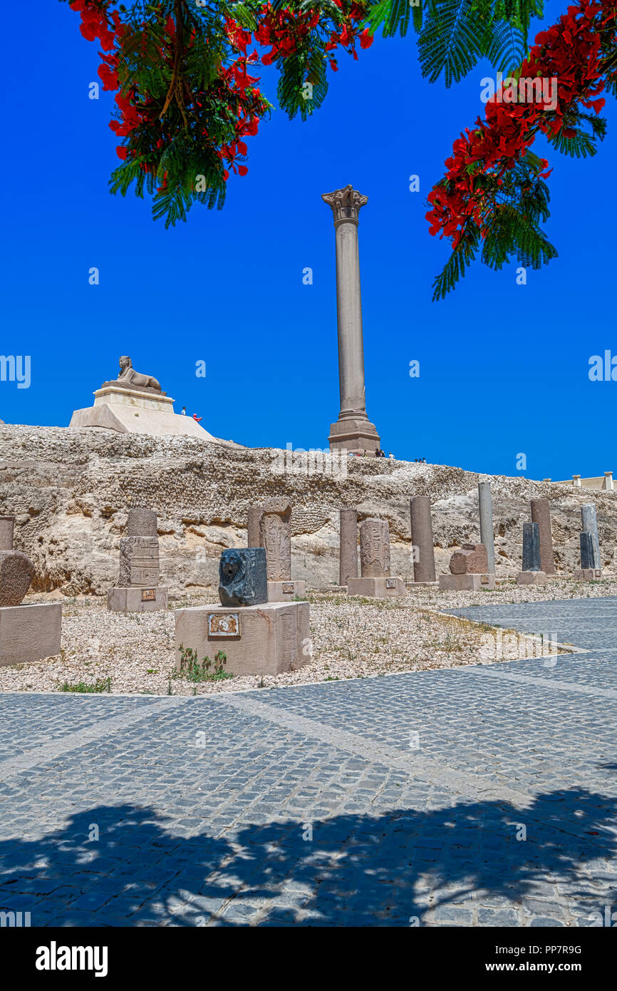 Pompeius Säule ist eine der größten monolithischen Säulen jemals errichtet. Stockfoto